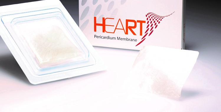 Heart DM Heart DM