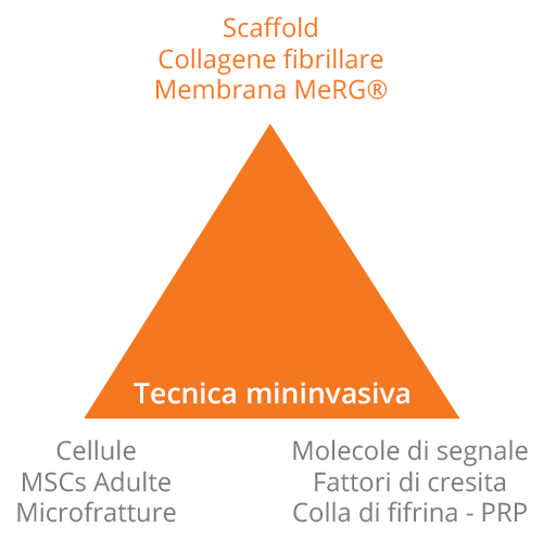 Tecnica mininvasiva Tecnica mininvasiva