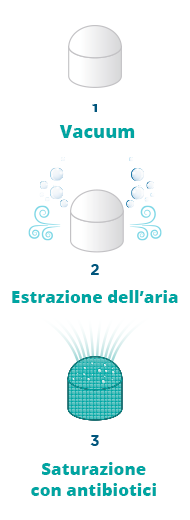 Fasi Perinfections® Fasi Perinfections®