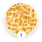 Imbibizione per immersione Imbibizione per immersione