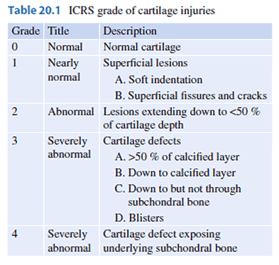 Table 20.1 ICRS grade of cartilage injuries
