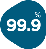 99 99